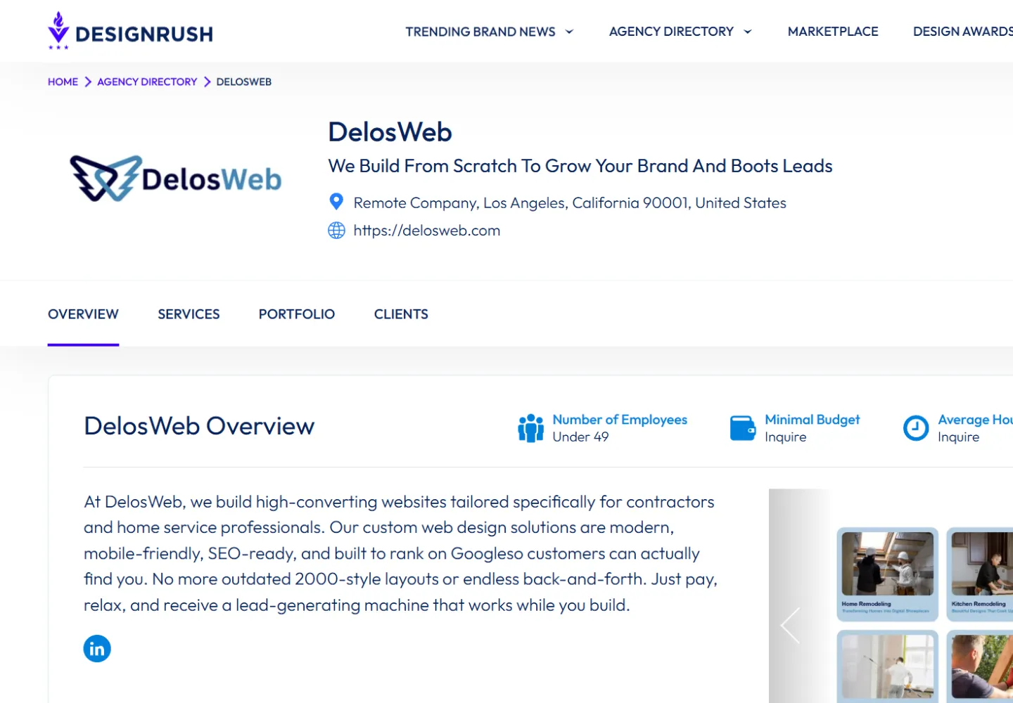 DelosWeb website homepage